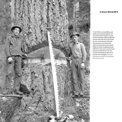 Chainsaws A History