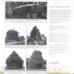 Batteuses, de nos campagnes