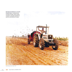 TRATTORI LAMBORGHINI Nella storia, tra eleganza e perfezione