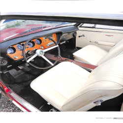 Pontiac GTO - 50 Years - The original muscle car