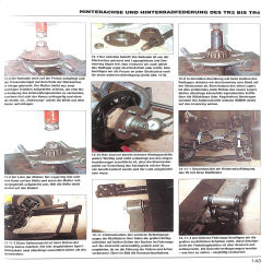 Das Triumph TR2, 3 & 4 Schrauberhandbuch