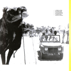 La Citroën Méhari de mon Père