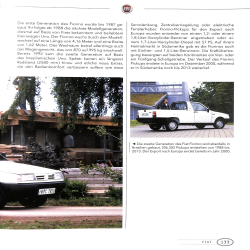 Pickup - Multitalente im Einsatz