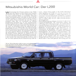 Pickup - Multitalente im Einsatz