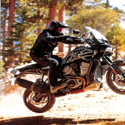 Ultimate Harley Davidson