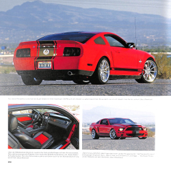 Shelby  Cobra - Mustang - GT40