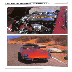 Jaguar: The Enduring Legend